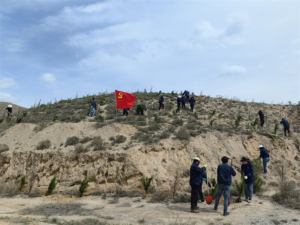 圖片8.png 圖片8.png